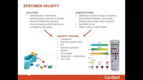 tampered drug test detection